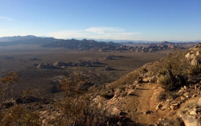 Cooling Down: Lessons from the Desert