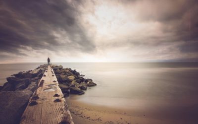 The Only Question to Ask in Career Exploration