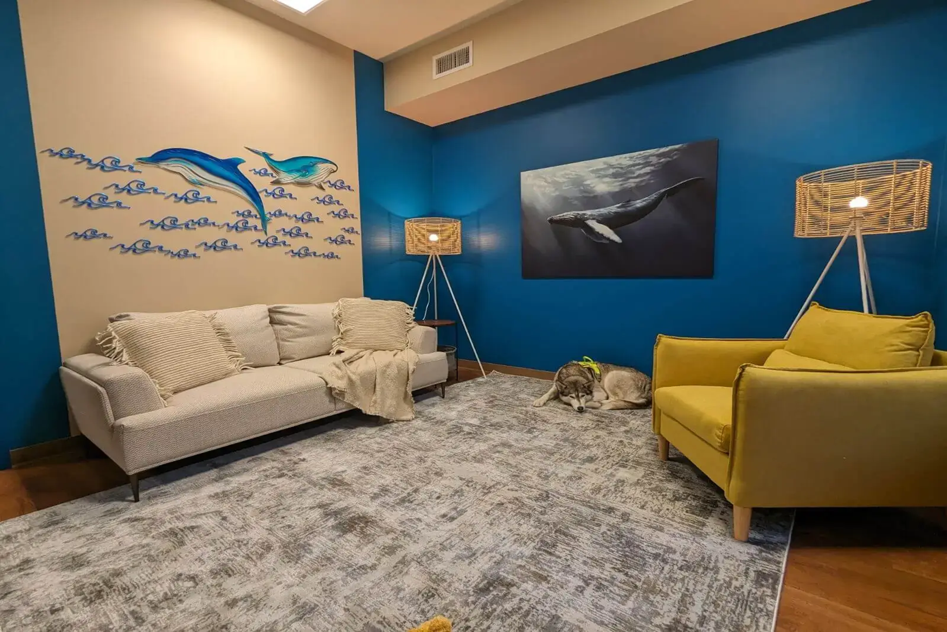Counselling-Room A cozy and welcoming counselling psychotherapy room with plush sofas, personal touches on the walls in form of photos, and ample natural light streaming in through large windows.